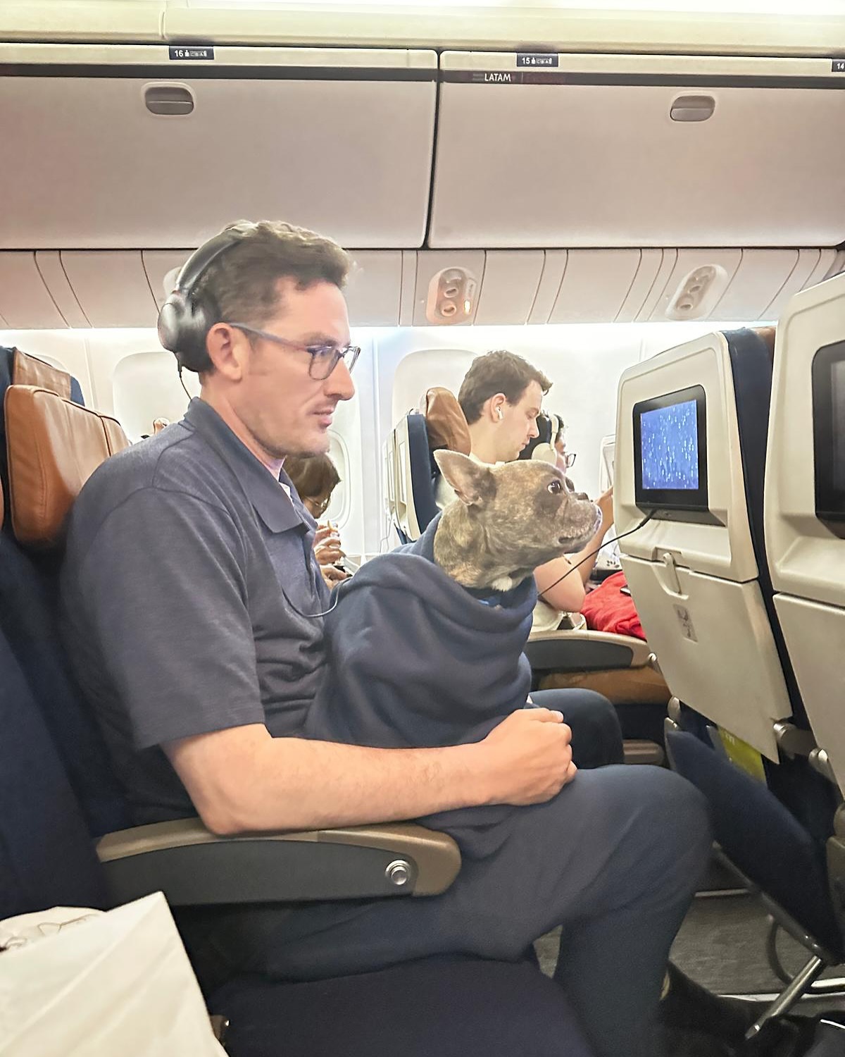Tutor com service dog no colo na cabine do avião